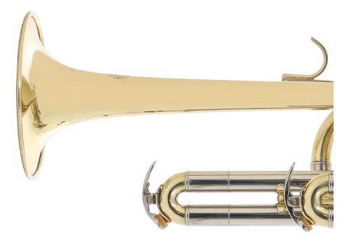 Comprar Trompete Piccolo Zellmer ZPT-600L Laqueado Sib - 1453