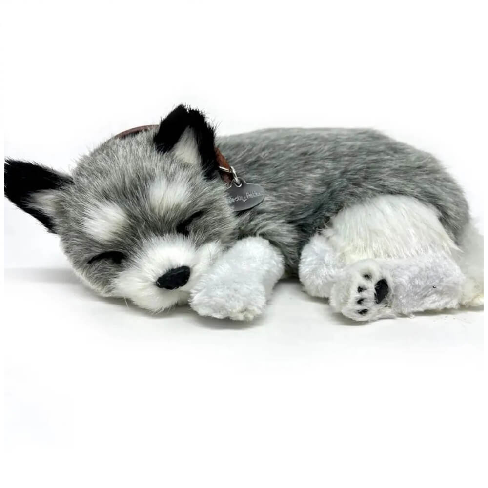 Perfect Petzzz – Cachorro Husky De Alaska Que Respira, Peluche Realista Con Movimiento De Respiración, Incluye Pilas D, Alfombra Y Certificado De Adopción, Edad Recomendada +3 Años