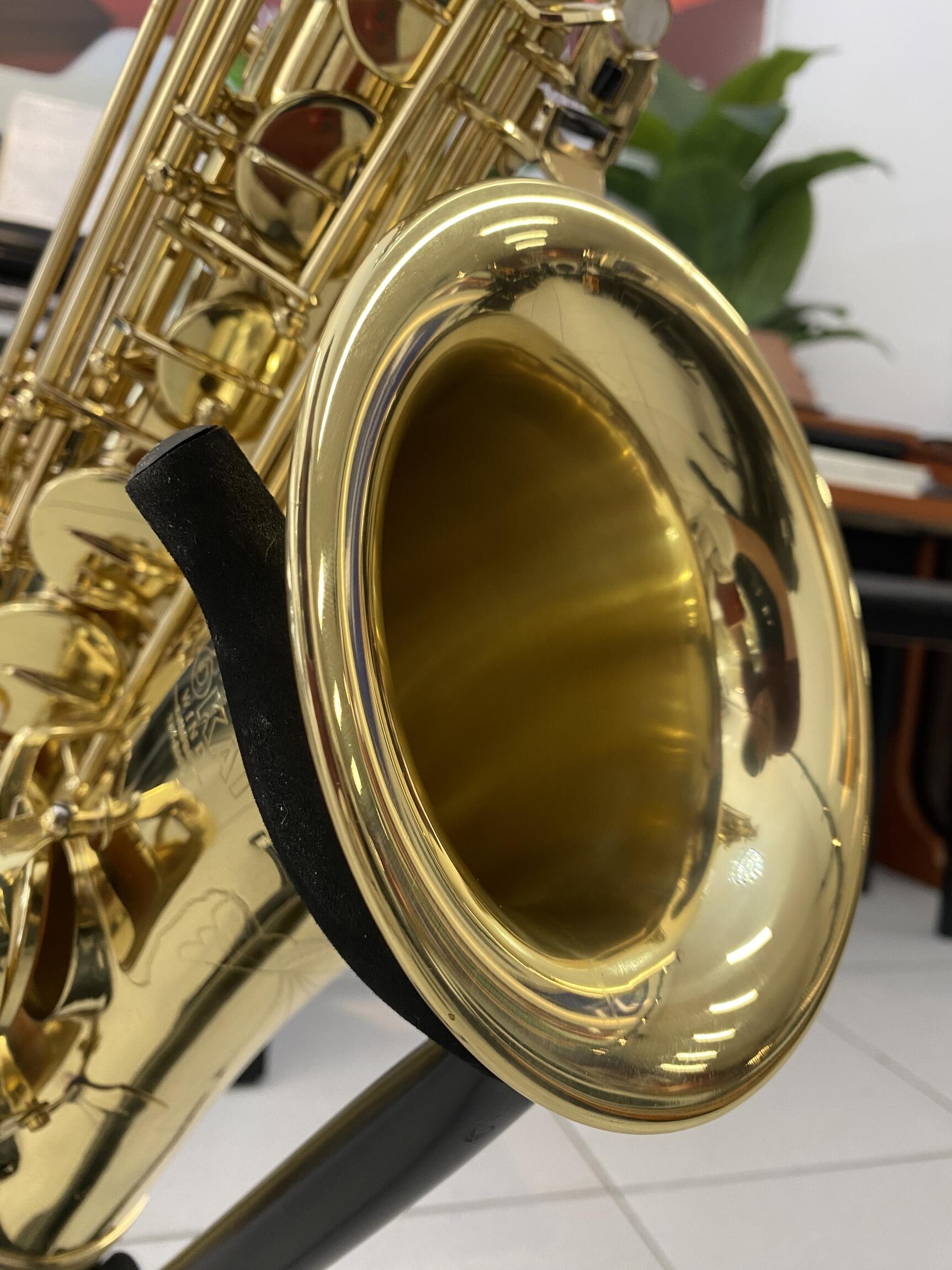 Comprar Saxofone Tenor SIB Laqueado Tokai TST-200L - a partir de R