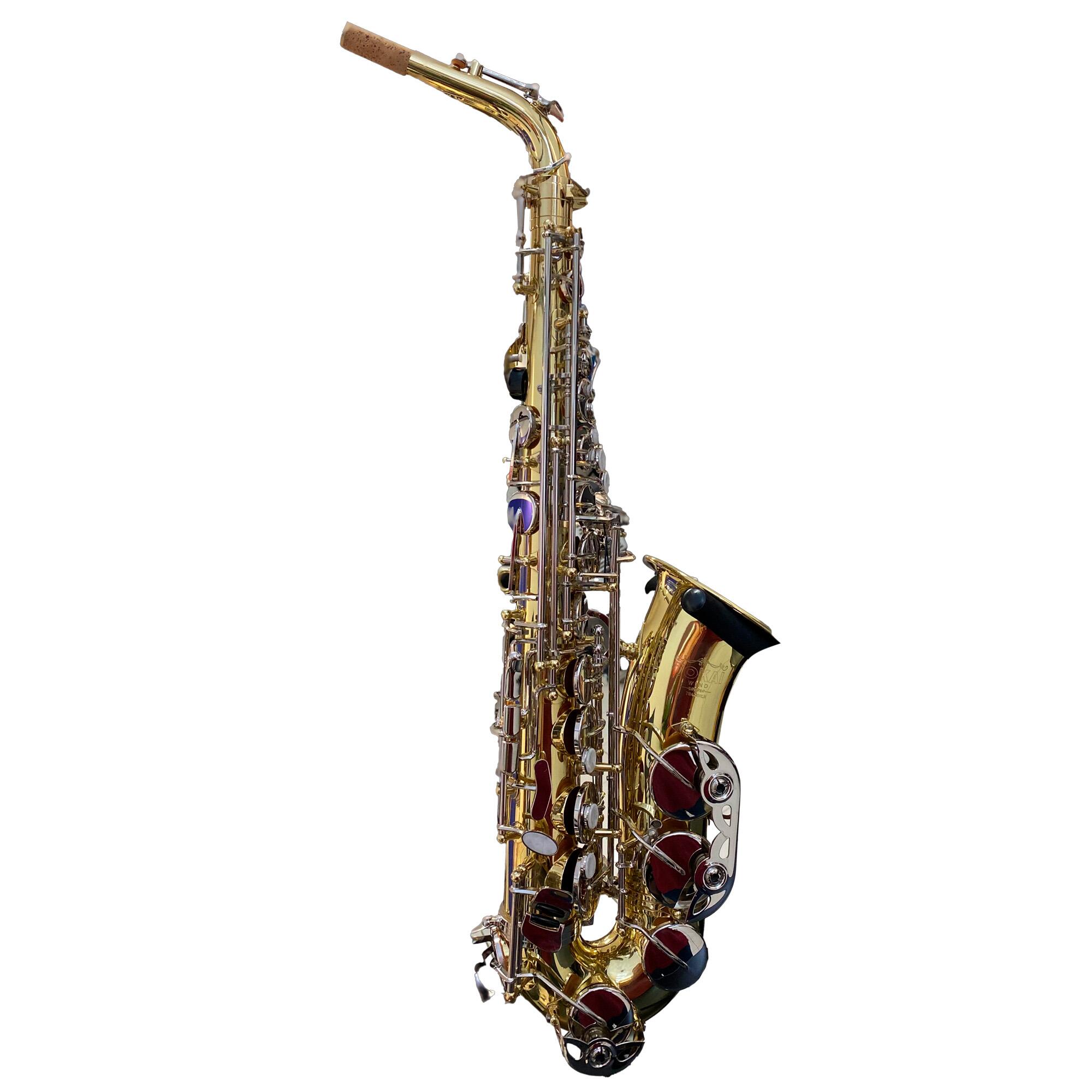 Comprar Sax Alto MIB Laqueado/Niquelado Tokai TSA-200LN - a partir