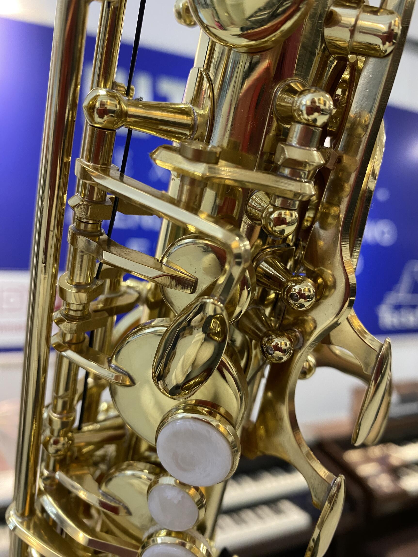 サトカSATOKA tee by viola(sax) カットソー Comprar Sax Alto MIB Laqueado Tokai TSA-200L - a partir de R$4.668,29