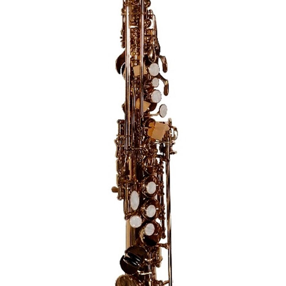 Saxofone B751C Bigme サンセベリア Soprano Simi-Case e Limpeza Kit Com Dominante Bb 電子書籍リーダー本体