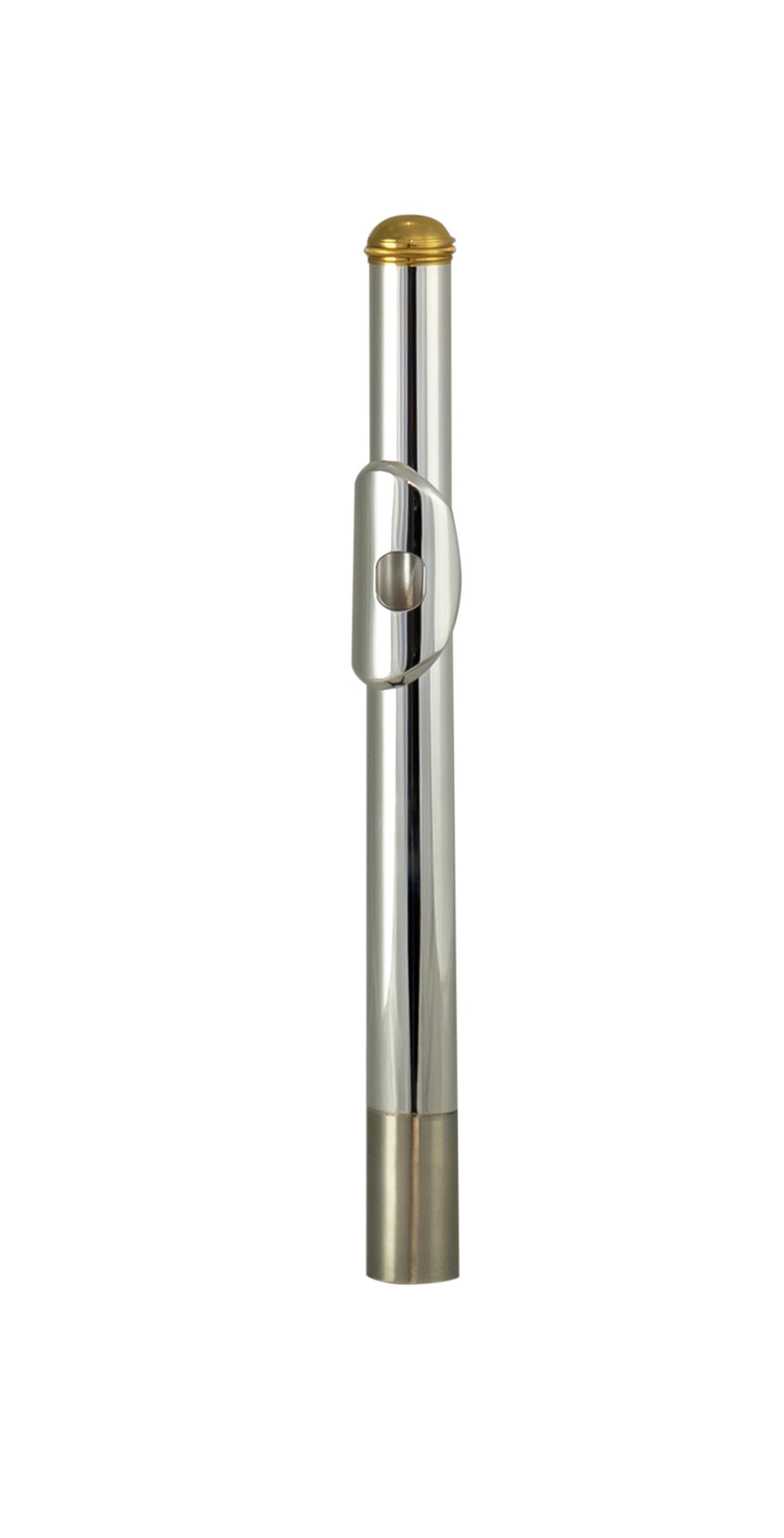Comprar Flauta Transversal TFL-201PG Tokai prata com Chave Dourado
