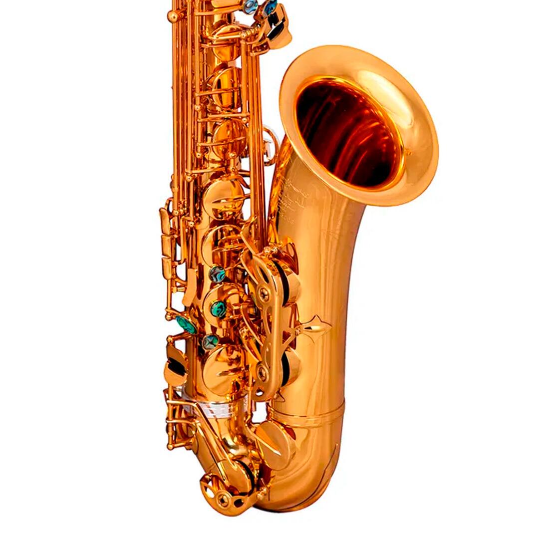 Comprar Sax Tenor Sib Tokai TST-300G Dourado - a partir de R$8.763,29
