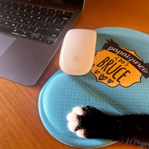Mouse Pad Personalizado Papaizneo de Pet - Pai de Co ou Gato
