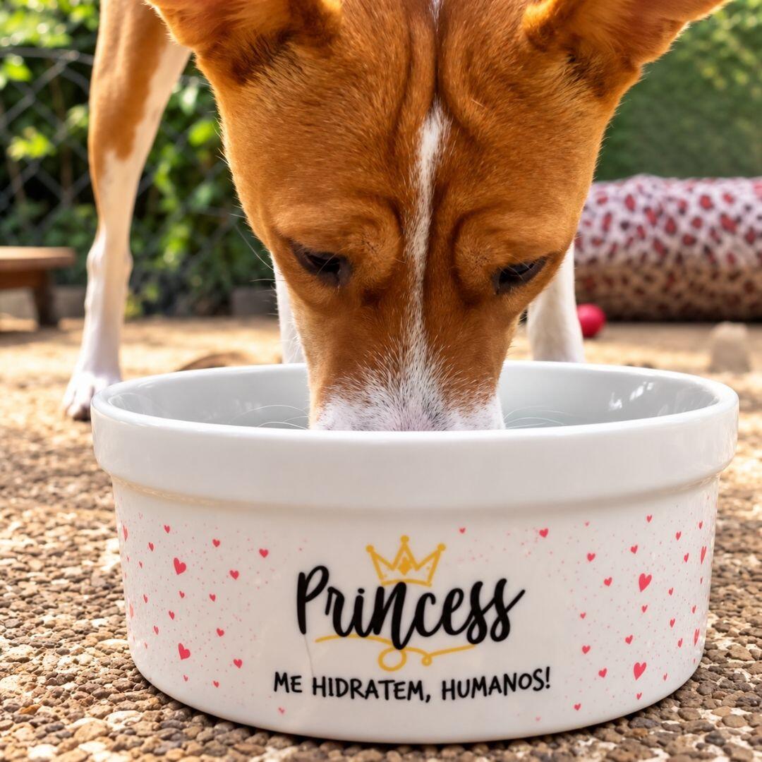 Bebedouro de cer�mica Pot Pet