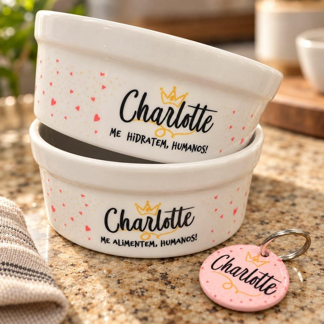 Kit Comedouro e Bebedouro Pot Pet