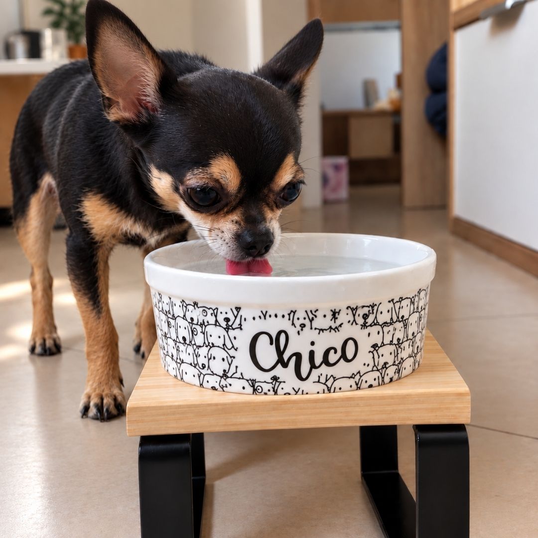 Tigelas Cachorrada com acess�rios vendidos separadamente