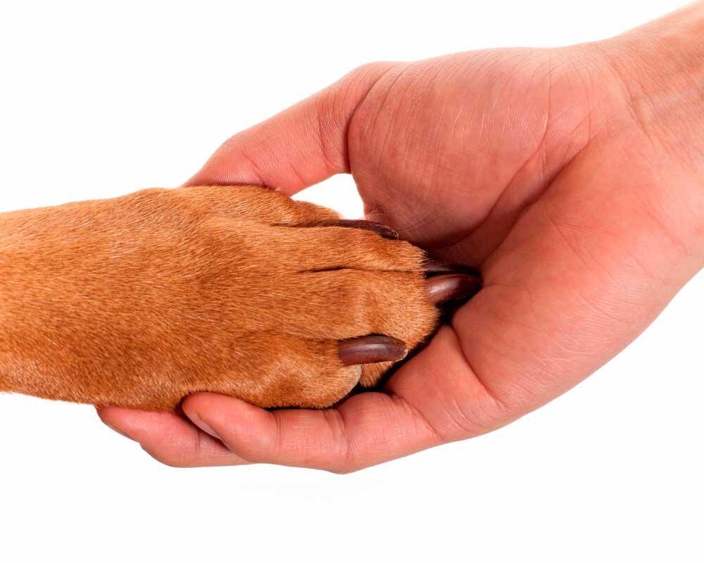 help2