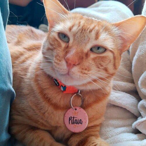 princesa-2