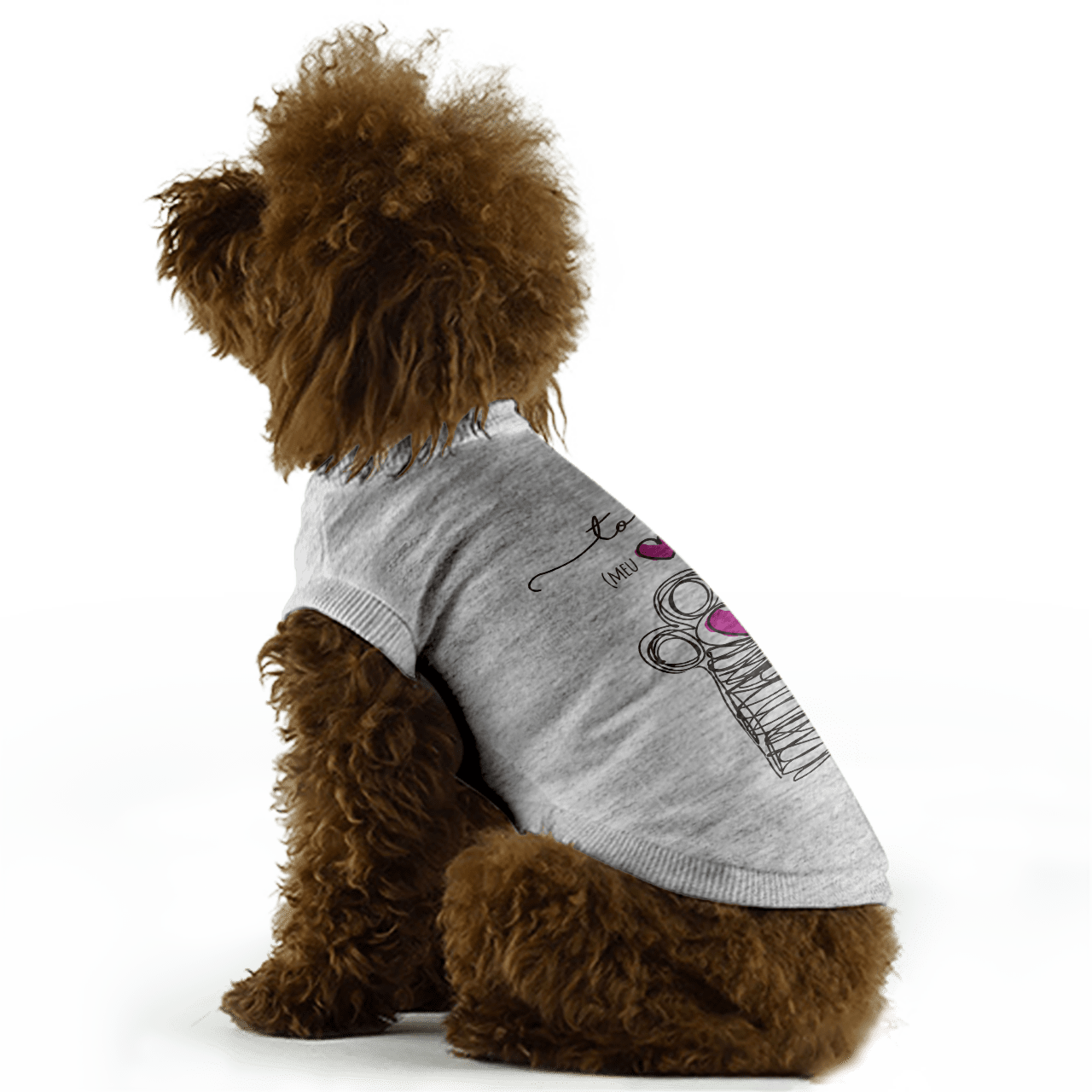poodle