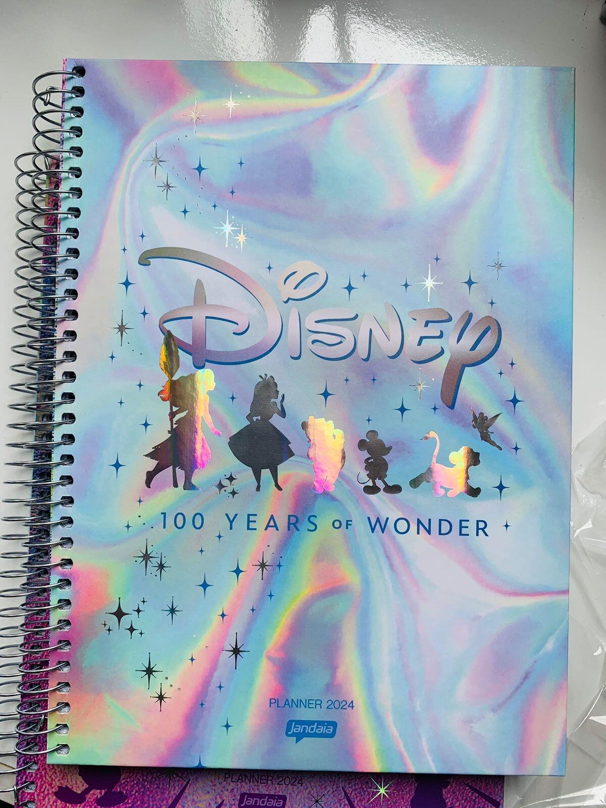 Comprar Agenda Planner Univ CD 192 págs - 100 anos Disney