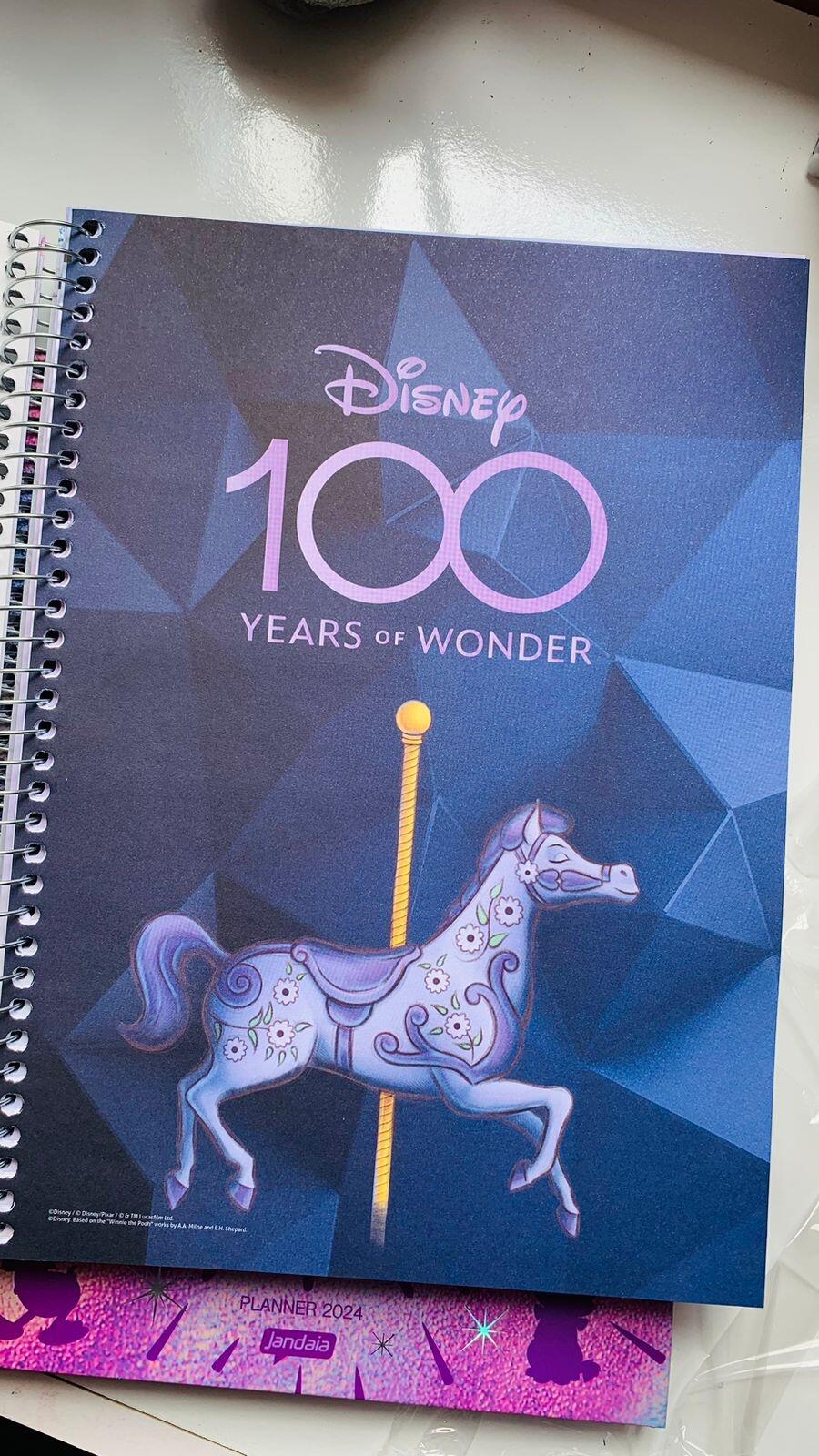 Planner 2024 Disney 100 Anos - Jandaia