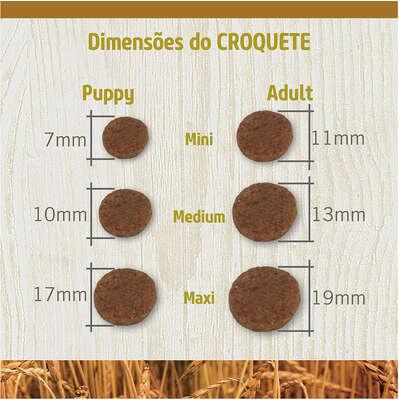 Comprar ND ANCESTRAL SELECTION CAN ADT MEDIUM 15KG - a partir de R