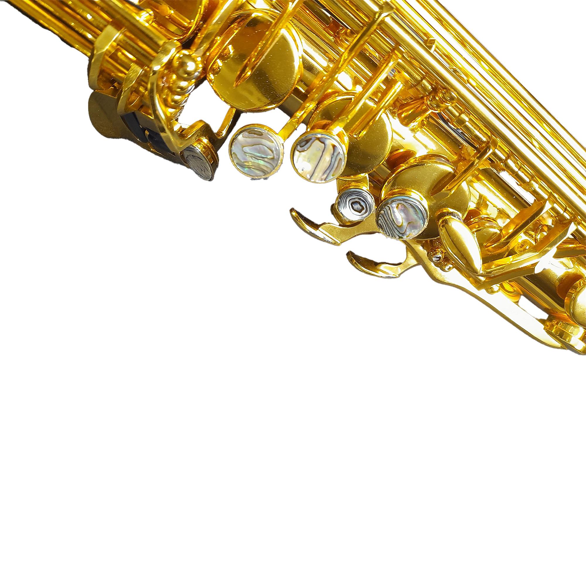 Comprar Sax Alto TSA-300GP Tokai Dourada com Chave Prata Mib - a