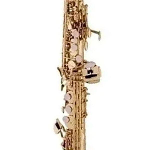 Comprar Sax Soprano Vogga VSSP701N - a partir de R$3.509,99