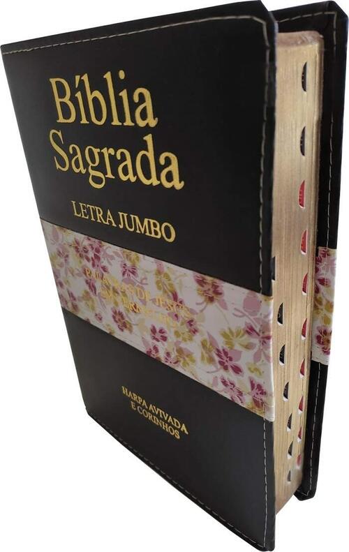 Bblia Letra Jumbo | Harpa Avivada e Corinhos | RC | Bicolor Preto e Floral