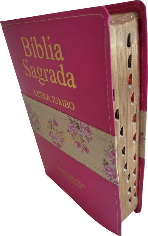 Bblia Letra Jumbo | Harpa Avivada e Corinhos | RC | Bicolor Pink e Floral