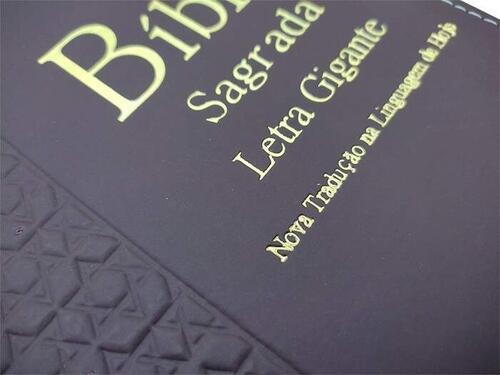 Bblia Letra Gigante | Relevo | Luxo Marrom | NTLH