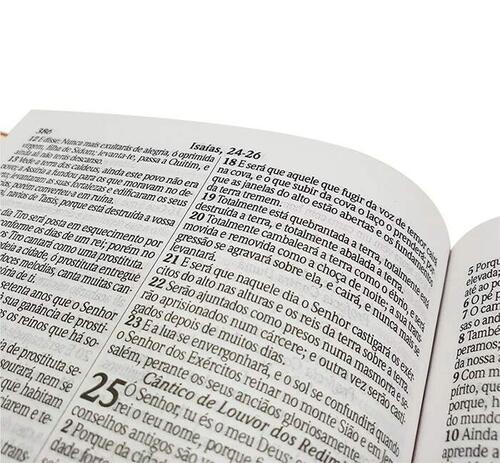 Bblia com 365 Reflexes | Plano de Leitura | ARC | Hipergigante | Capa dura | Floral