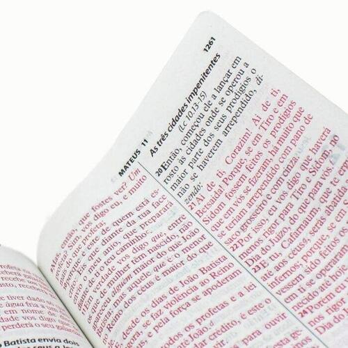 Bblia Letra Gigante Rosa Com Letras Vermelhas e ndice RC