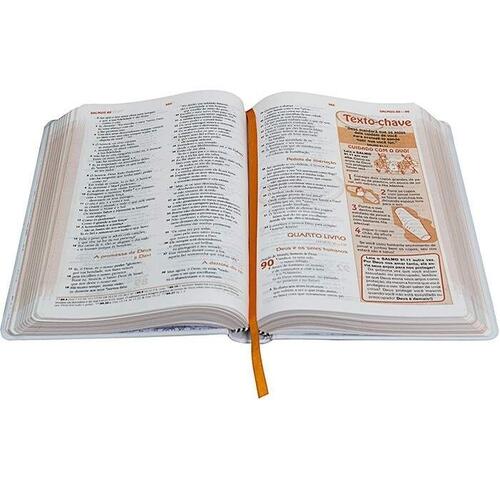A Bblia das Descobertas | Capa Dura Plstica Ilustrada | Meninas