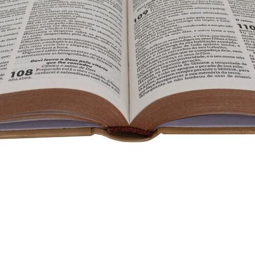 Bíblia sagrada capa dura Ramos RC - Editora SBB