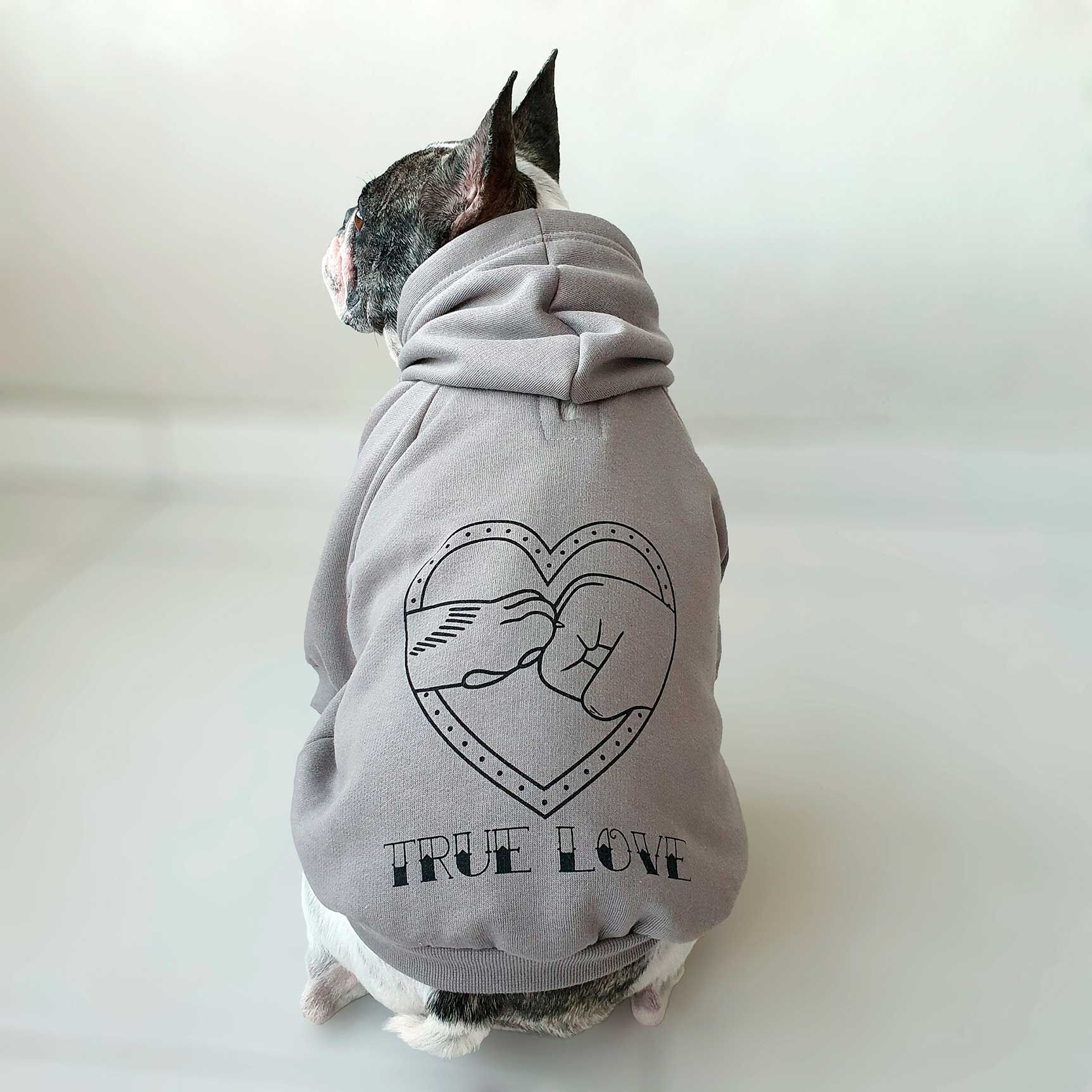 Comprar MOLETOM PARA CACHORRO TRUE LOVE CINZA a partir de R