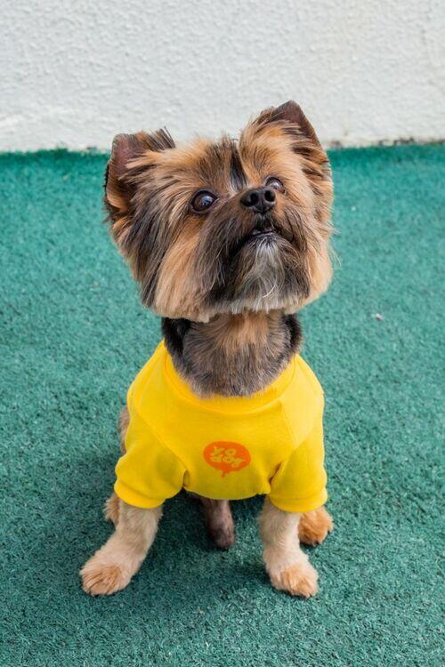 CAMISETA DOGS - PLOT TWIST