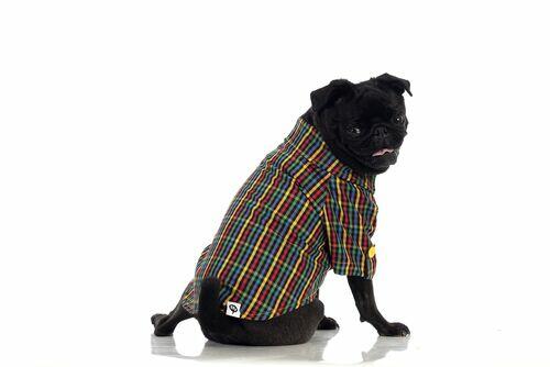 CAMISA COLORS