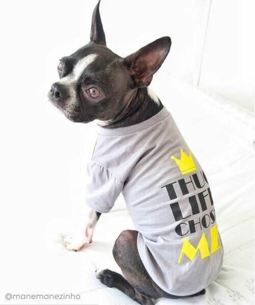 T-SHIRT THUG LIFE