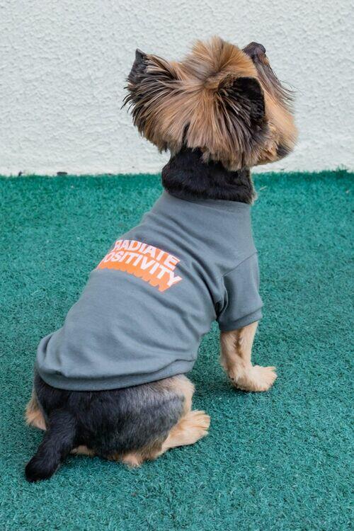 CAMISETA DOGS - RADIATE