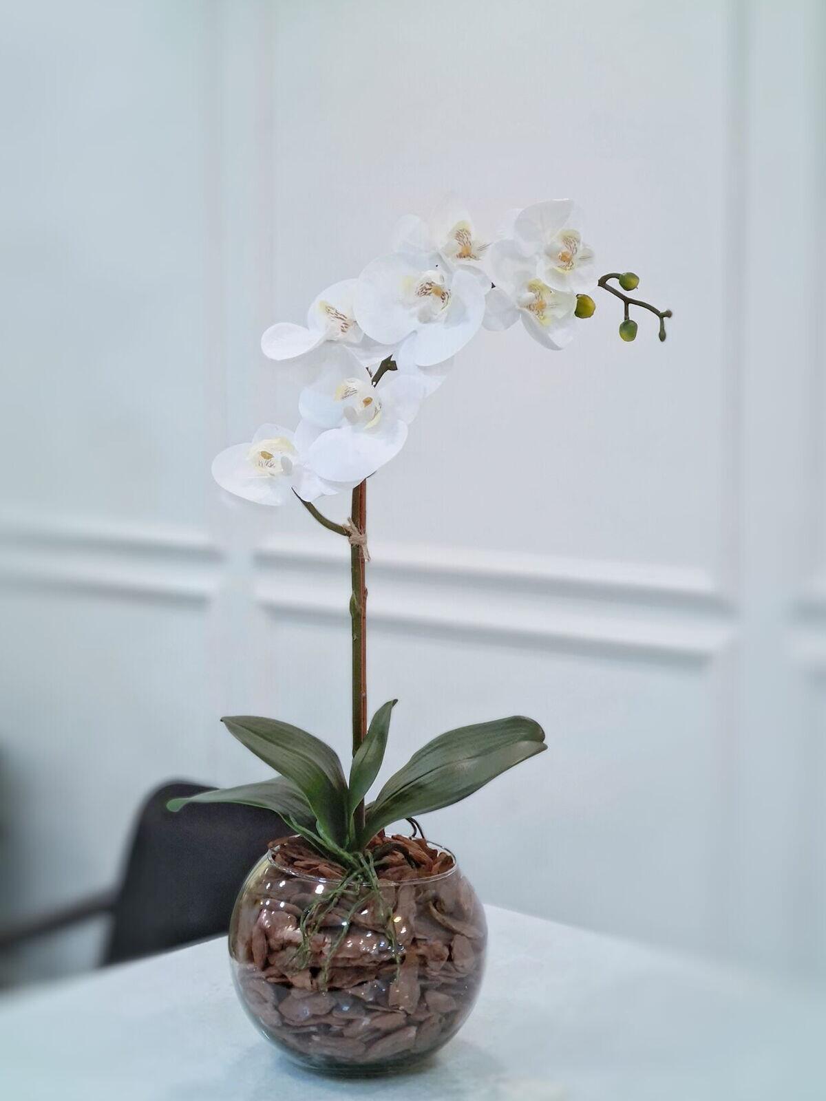 Comprar Arranjo Orquídea Anne Branca - a partir de R$174,60 - Bazar das  Flores
