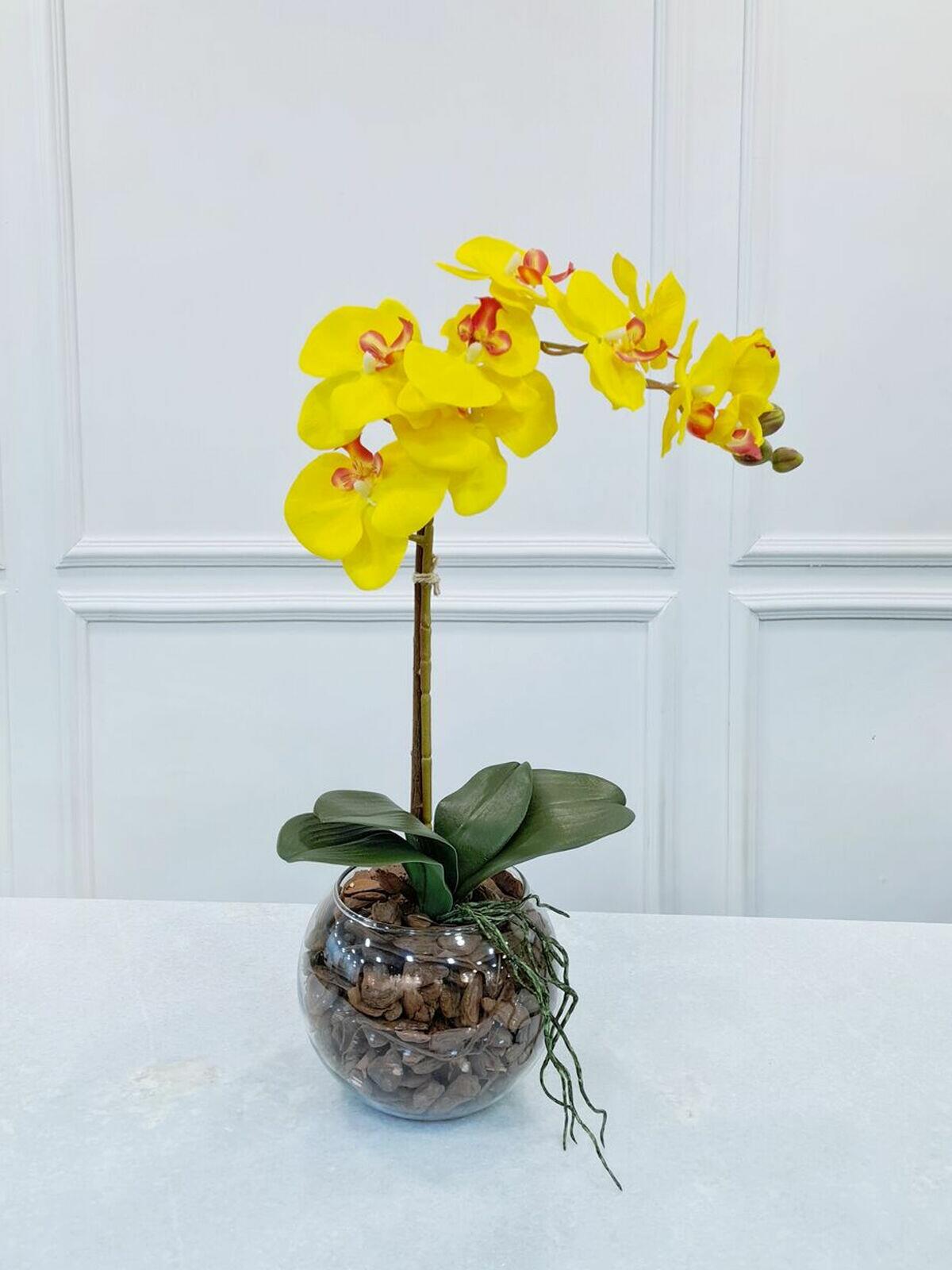 Comprar Arranjo Orquídea Anne Amarela - a partir de R$174,60 - Bazar das  Flores