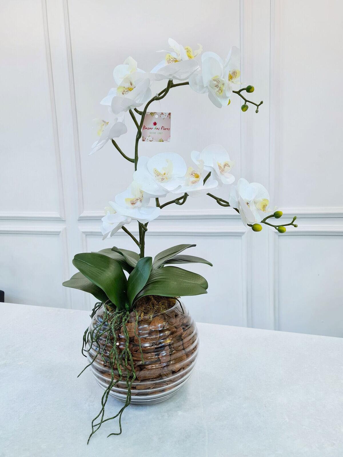 Comprar Arranjo Orquídeas Anne Duplo Branca - Bazar das Flores