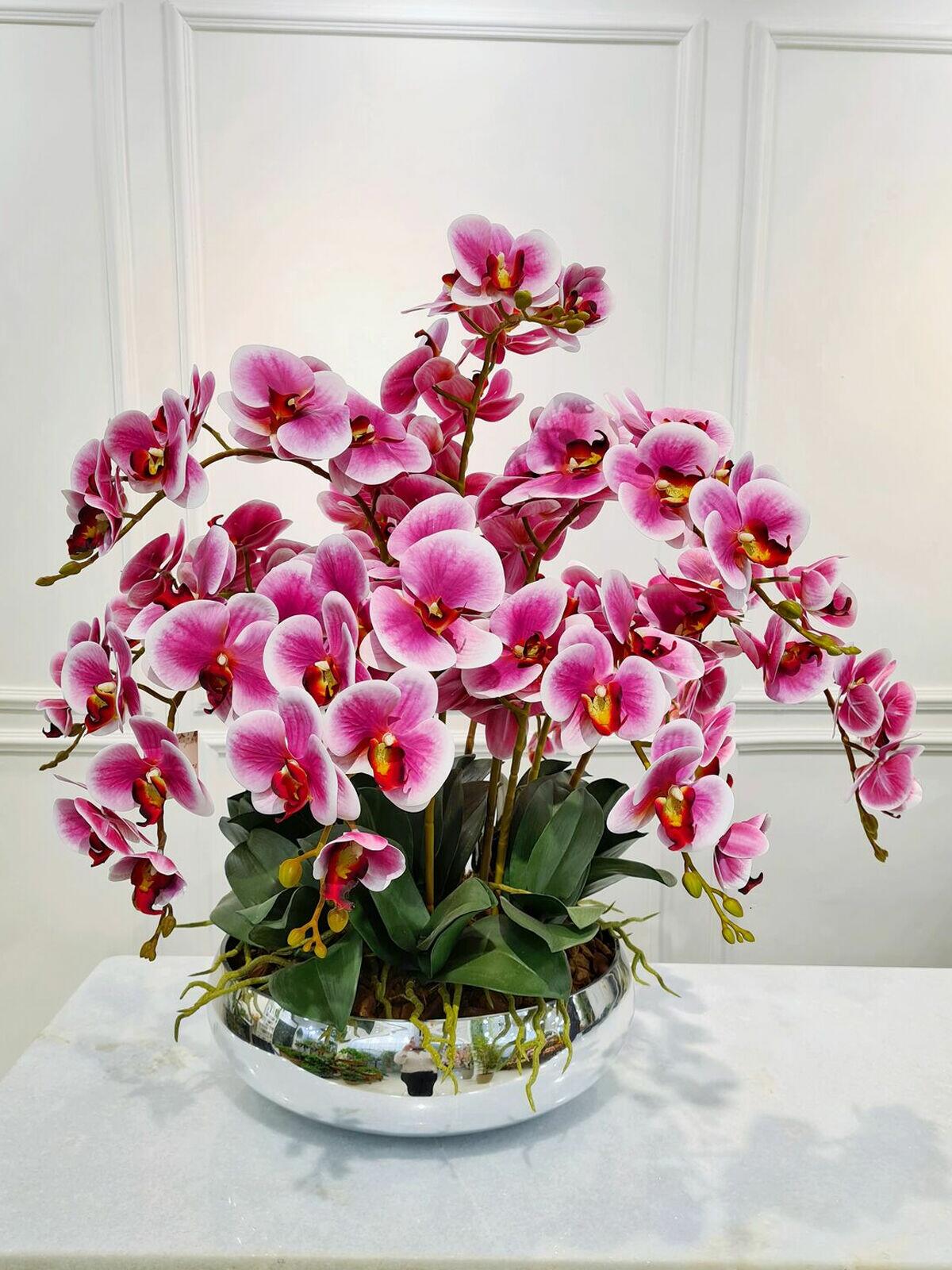 Comprar Arranjo Orquídeas Eva - a partir de R$2.298,90 - Bazar das Flores