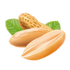 Comprar Pasta de Amendoim com Whey - 450gr - Importados