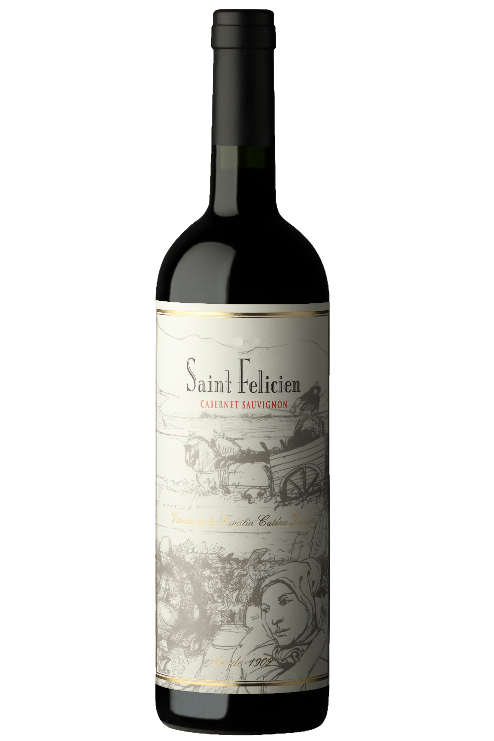 SAINT FELICIEN CABERNET SAUVIGNON 6X750 - imagen 5