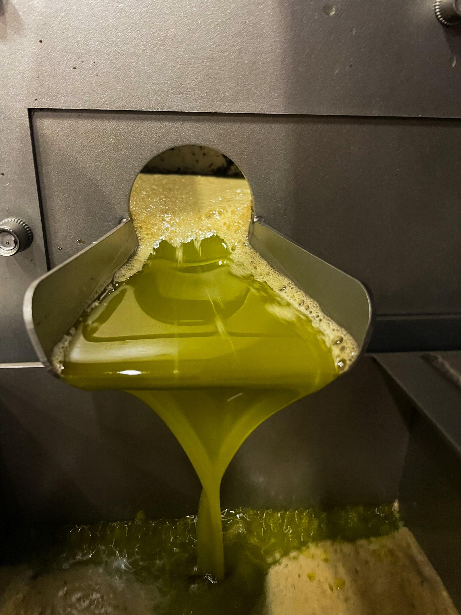 Comprar Azeite de Oliva Pons Extra Virgem - Edición Verde - em