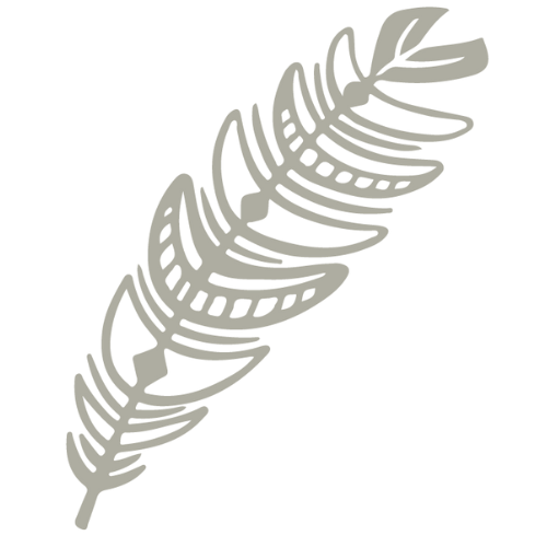 Logo de Emunah pratas
