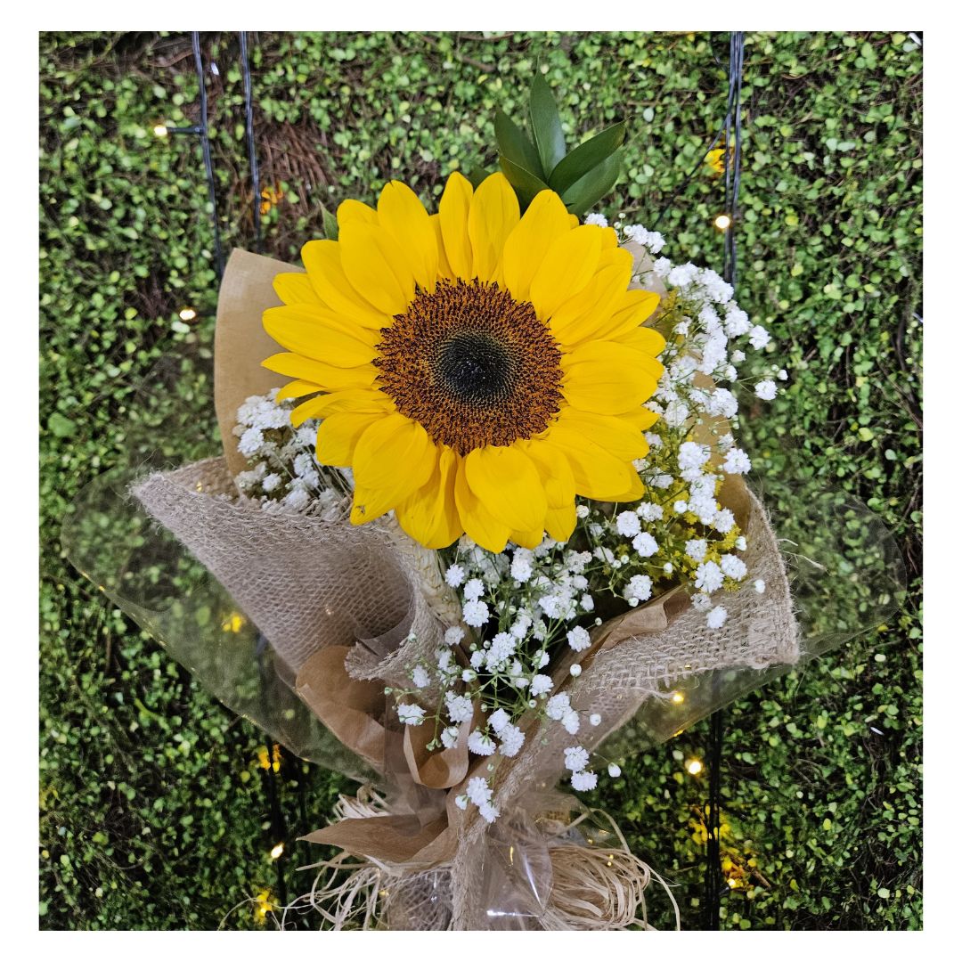 Comprar Buquê girassol R$50,00 Floricultura Só-Verde