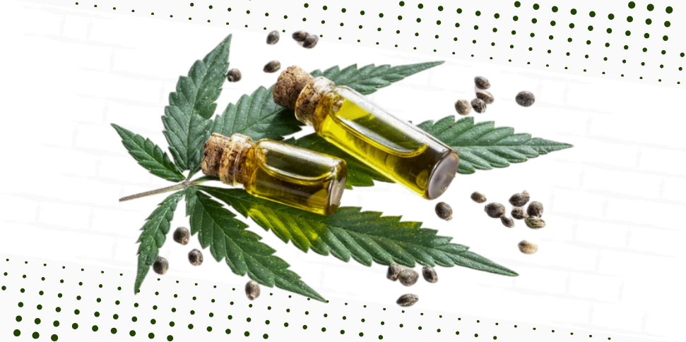 &Oacute;leo de cannabis