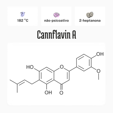 Cannflavin A