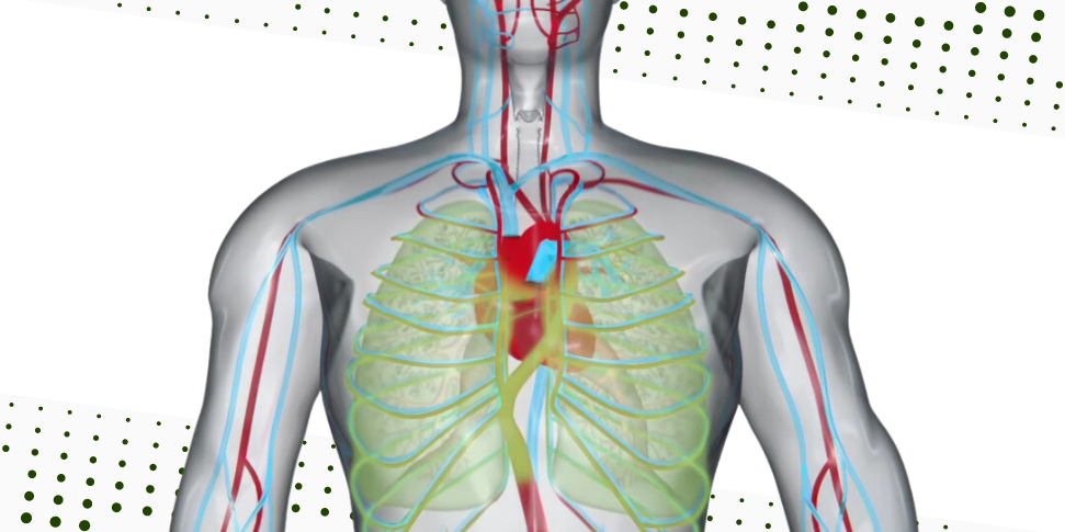 Capacidade pulmonar