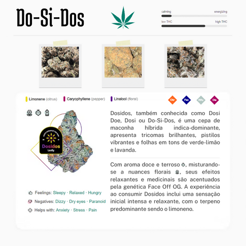 Dosidos