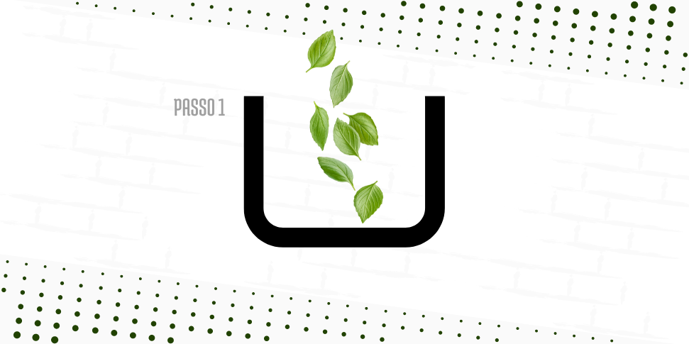 Primeiro passo