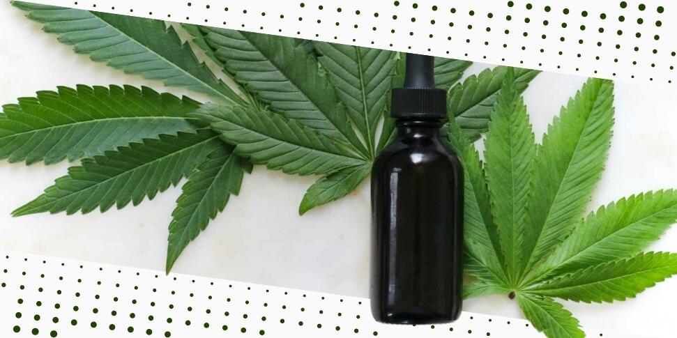 Tintura de cannabis