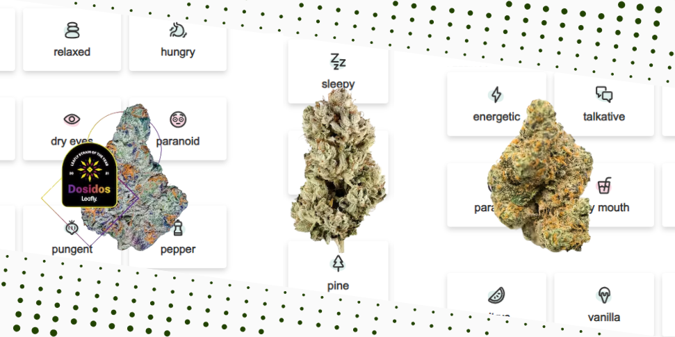 Do-Si-Dos, Gorilla Glue e Moby Dick