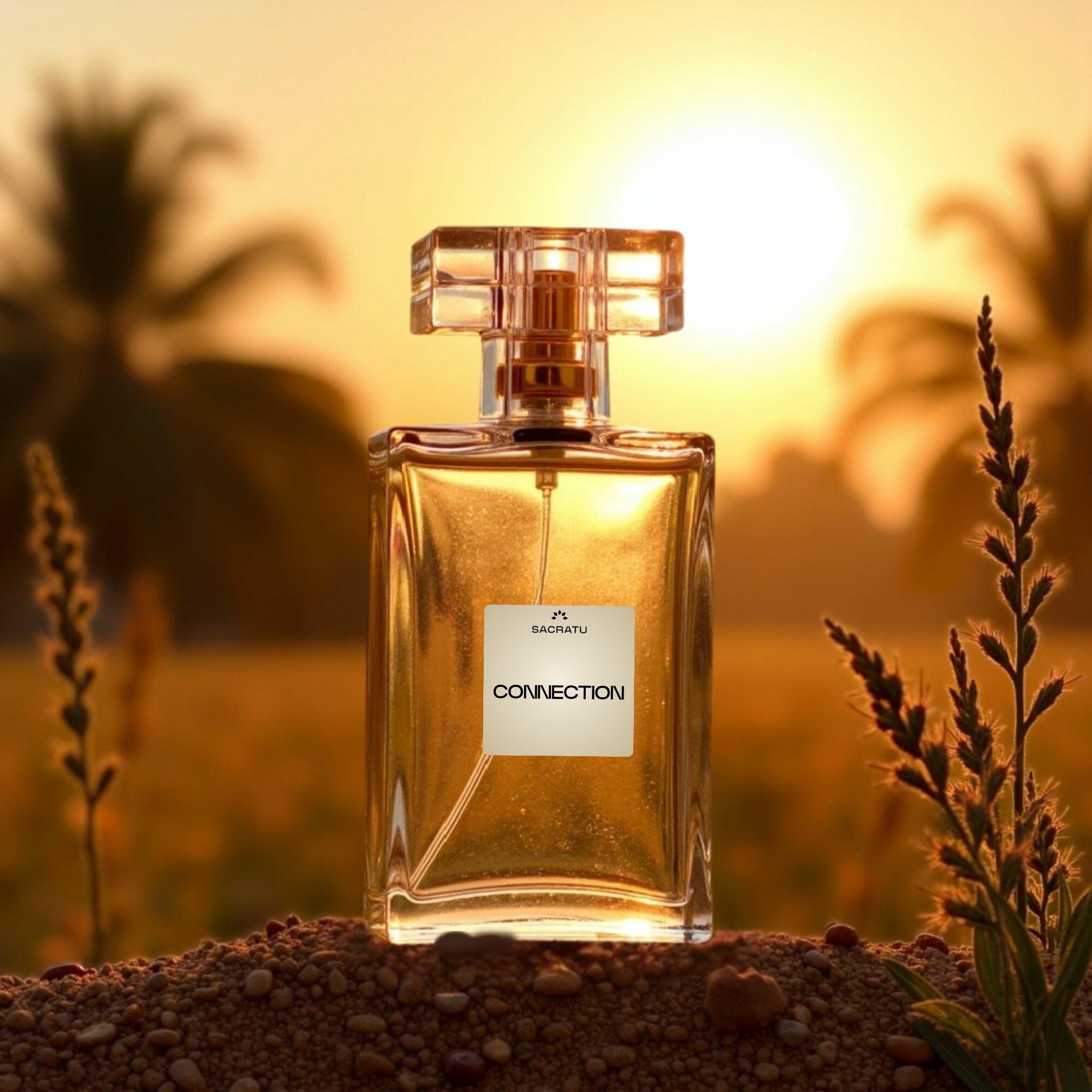 Perfume Masculino PARFUM CONNECTION| Sacratu - a partir de R$104,40