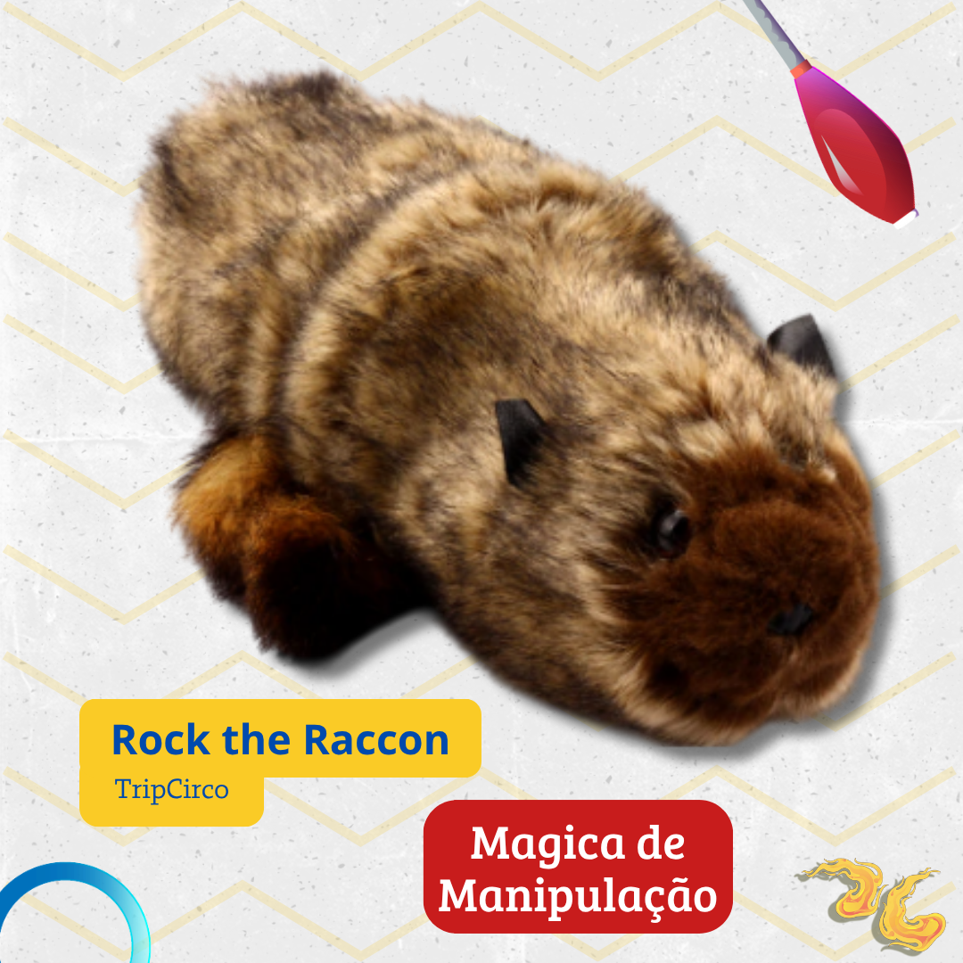 Racky Rackon Comprar Rocky The Raccoon - Magica manipulação (UNIDADE) - R$200,00 ...